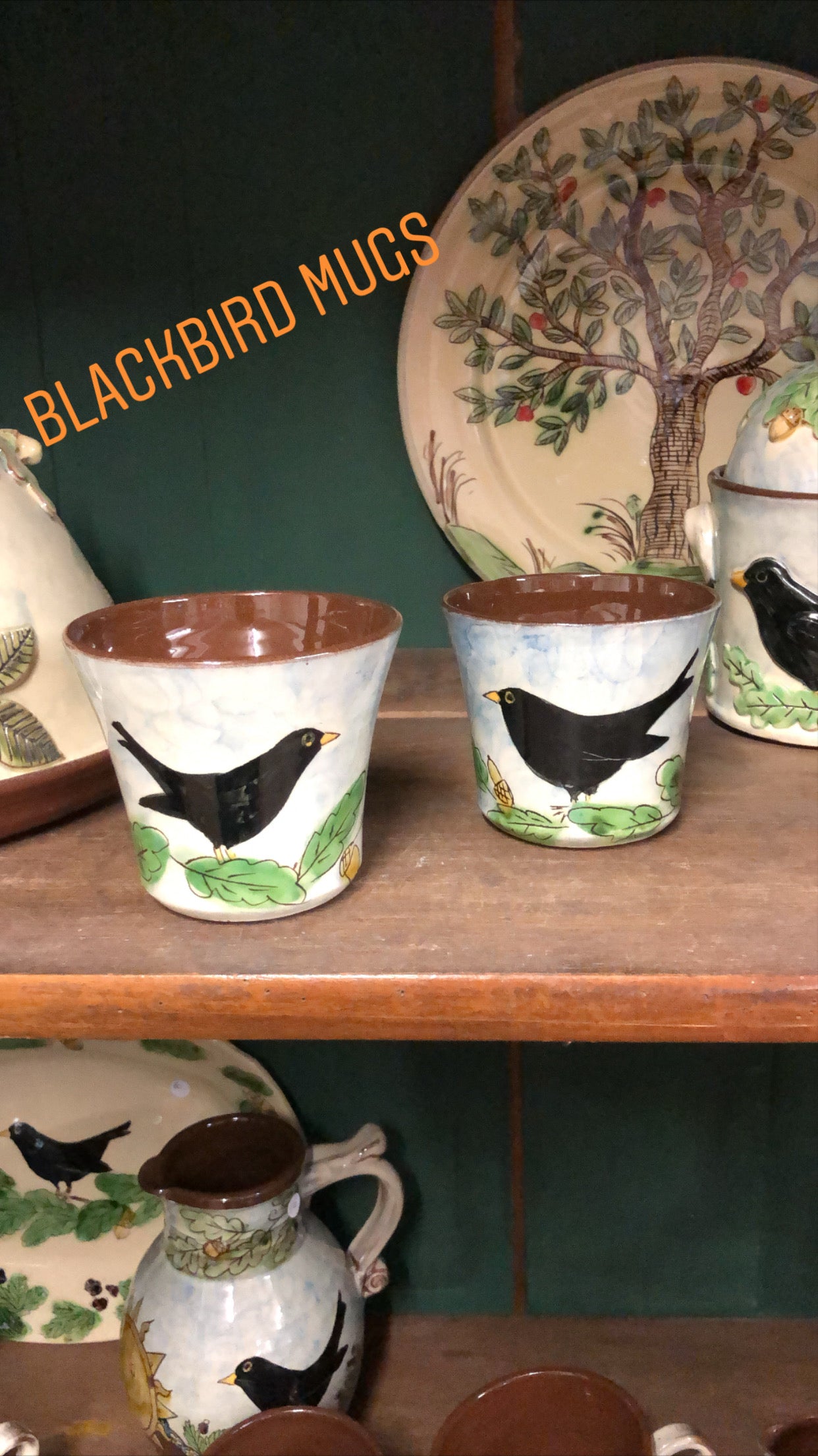 Blackbird mug